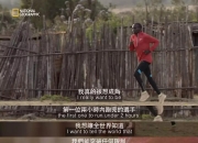 爱游戏体育app-关于阿联酋田径运动员荣膺冠军，速度突破极限的信息