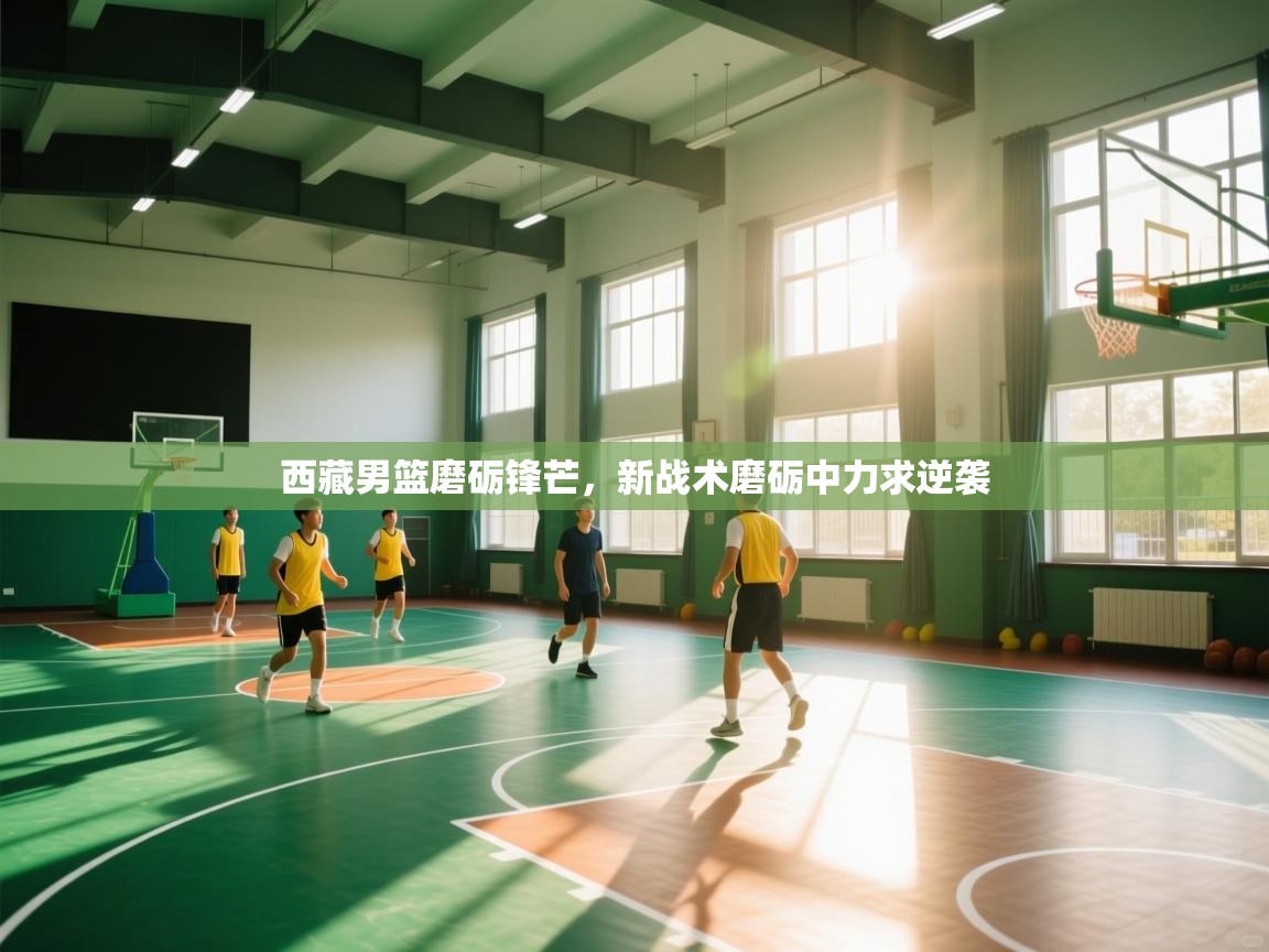 西藏男篮磨砺锋芒，新战术磨砺中力求逆袭